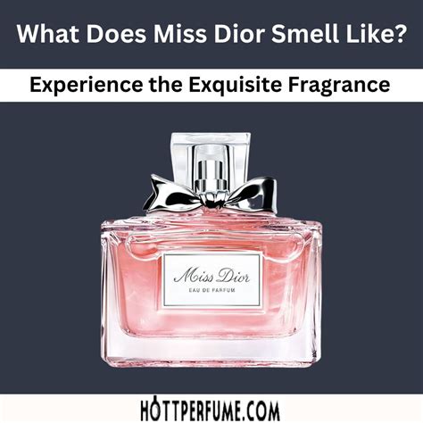 miss dior parfum vernieuwd|what does miss dior perfume smell like.